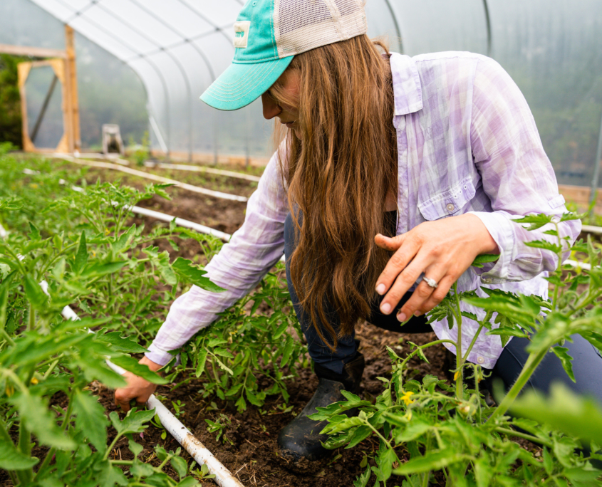 Ellie Fleshman of Fleshman Farms in Teton County Montana USDA NRCS Flickr CC